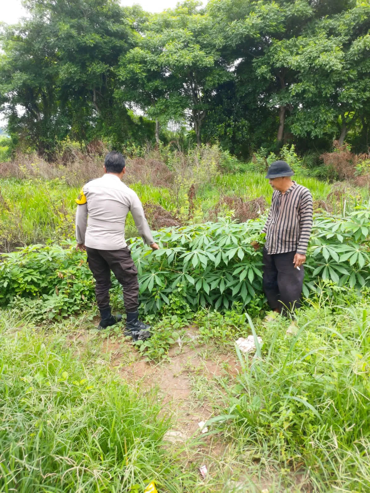 Bripka Rinaldo dampingi petani Cisoka manfaatkan lahan kosong untuk ketahanan pangan